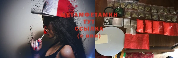 гидра Мегион