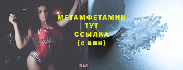 гидра Мегион