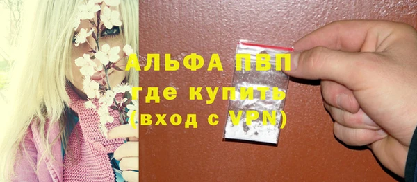 твердый Медногорск
