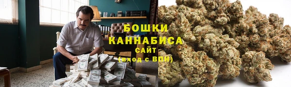 твердый Медногорск