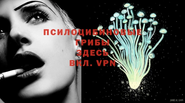 гидра Мегион