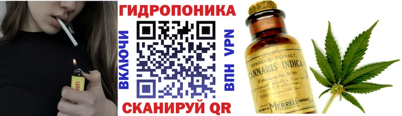 Шишки марихуана конопля  МЕГА ССЫЛКА  Пугачёв 